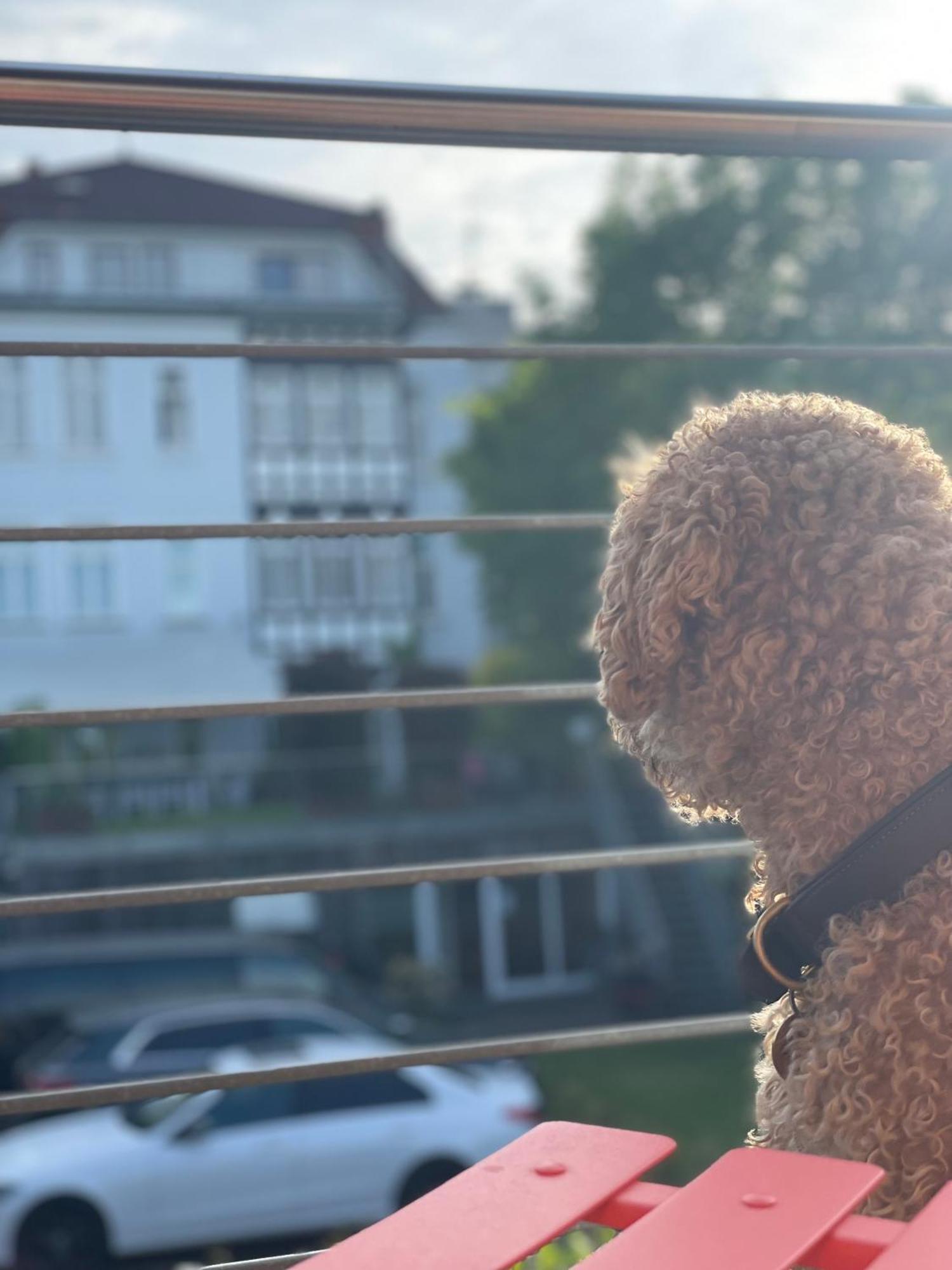 Sonniges Hinterhaus Og Innenstadt Osnabrück Zewnętrze zdjęcie