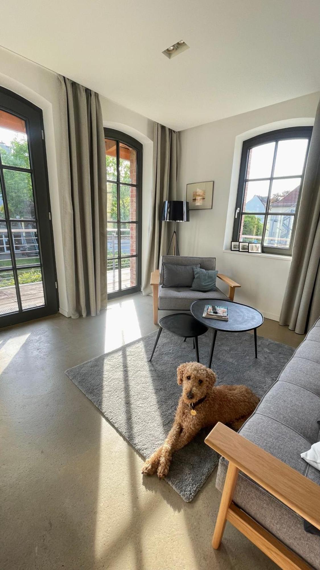 Sonniges Hinterhaus Og Innenstadt Osnabrück Zewnętrze zdjęcie